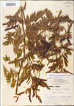 000003719-thumbnail.jpg
