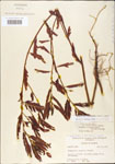 000003724-thumbnail.jpg
