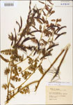 000003725-thumbnail.jpg