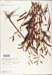 000003728-thumbnail.jpg