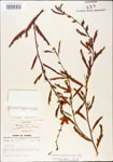 000003734-thumbnail.jpg