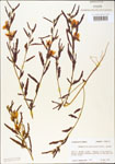 000003735-thumbnail.jpg