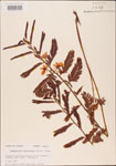 000003740-thumbnail.jpg