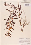 000003741-thumbnail.jpg