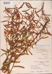 000003744-thumbnail.jpg