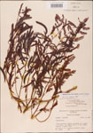 000003745-thumbnail.jpg