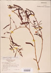 000003746-thumbnail.jpg
