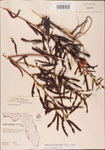 000003750-thumbnail.jpg