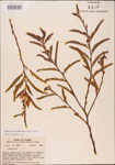 000003753-thumbnail.jpg