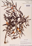 000003754-thumbnail.jpg