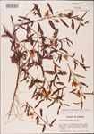 000003755-thumbnail.jpg