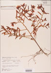 000003756-thumbnail.jpg