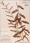 000003758-thumbnail.jpg