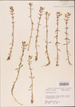 000003815-thumbnail.jpg