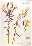 000003819-thumbnail.jpg