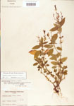 000003841-thumbnail.jpg
