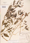 000003843-thumbnail.jpg