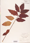 000003848-thumbnail.jpg