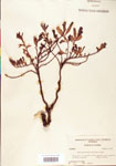 000003861-thumbnail.jpg