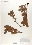 000003862-thumbnail.jpg