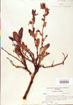 000003865-thumbnail.jpg