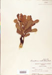 000003868-thumbnail.jpg
