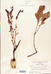 000003869-thumbnail.jpg
