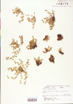 000003884-thumbnail.jpg