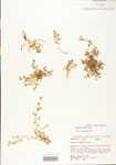 000003886-thumbnail.jpg