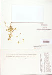 000003890-thumbnail.jpg