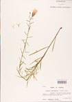 000003906-thumbnail.jpg