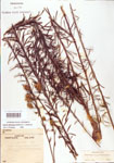 000003908-thumbnail.jpg