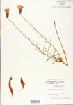 000003909-thumbnail.jpg