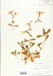 000003958-thumbnail.jpg