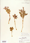 000004010-thumbnail.jpg