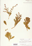 000004013-thumbnail.jpg