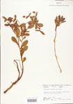 000004014-thumbnail.jpg