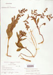 000004015-thumbnail.jpg
