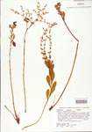 000004018-thumbnail.jpg