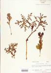 000004019-thumbnail.jpg