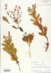 000004020-thumbnail.jpg
