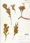000004021-thumbnail.jpg
