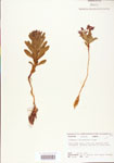 000004023-thumbnail.jpg