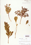 000004026-thumbnail.jpg