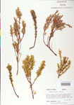 000004040-thumbnail.jpg