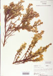 000004043-thumbnail.jpg