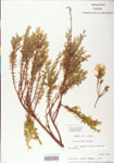 000004045-thumbnail.jpg