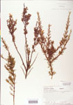 000004046-thumbnail.jpg
