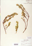 000004047-thumbnail.jpg