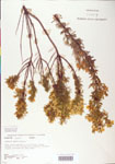 000004048-thumbnail.jpg